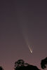 Mark Peterson > Comet McNaught