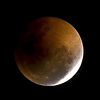 Mark Peterson > Astrophotography photo