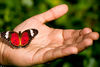 Mark Peterson > Animals photo